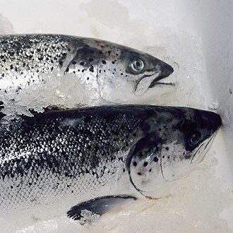 新發(fā)地三文魚案板檢測(cè)出新冠病毒，，北京多家超市連夜下架三文魚，北京新增三個(gè)病例